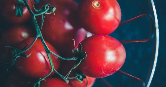 トマト農家に生まれていたら私はもっと美肌だったかもしれない、という妄想