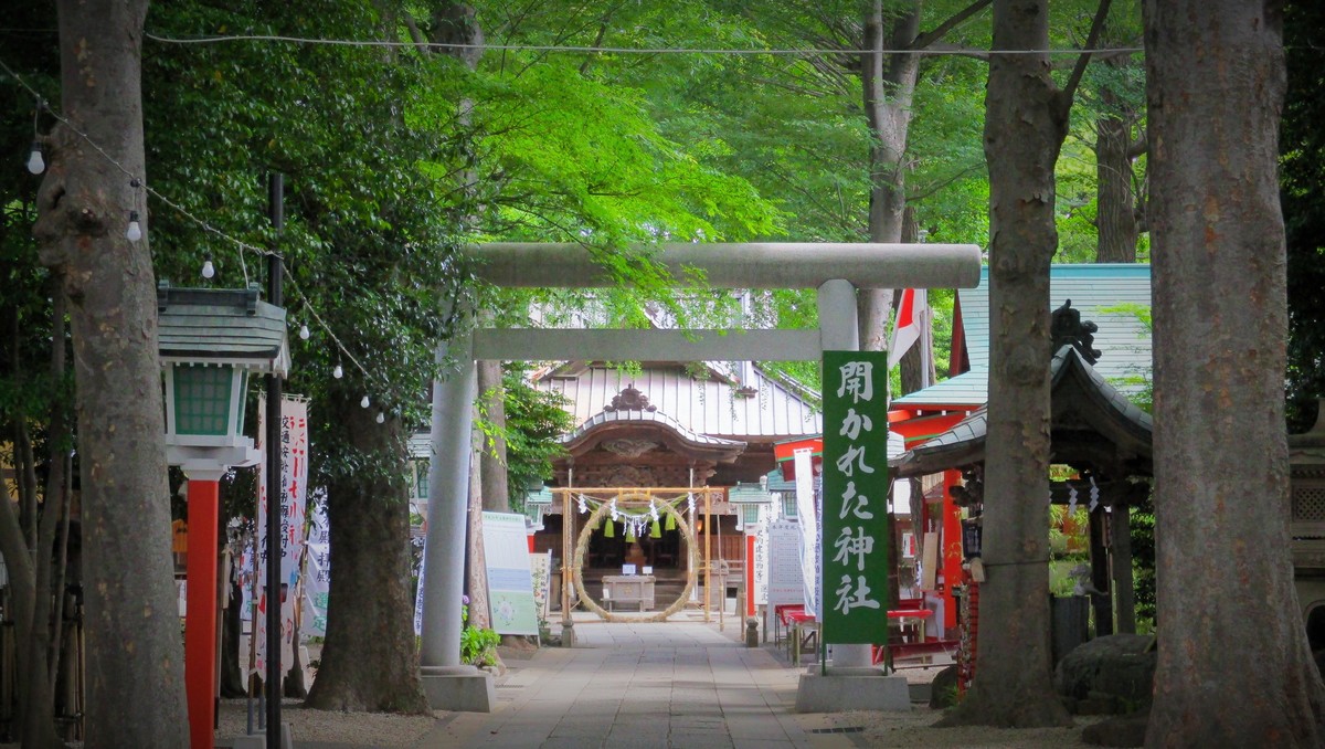 五龍神のすまう田無の杜「田無神社」【巫女ライターの神社と御朱印めぐり＃２】