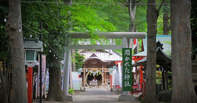 五龍神のすまう田無の杜「田無神社」【巫女ライターの神社と御朱印めぐり＃２】