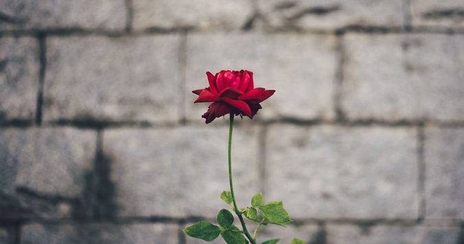 独りでいることも誰かといることも「私」が決める