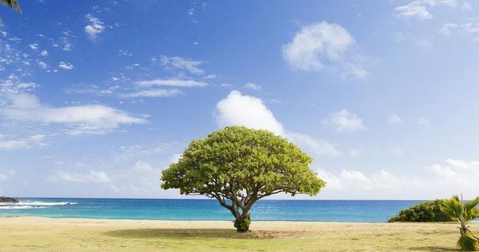 人生100年時代を生き抜く、お金にまつわる３つのポイント【お金に愛される女のルール＃５】