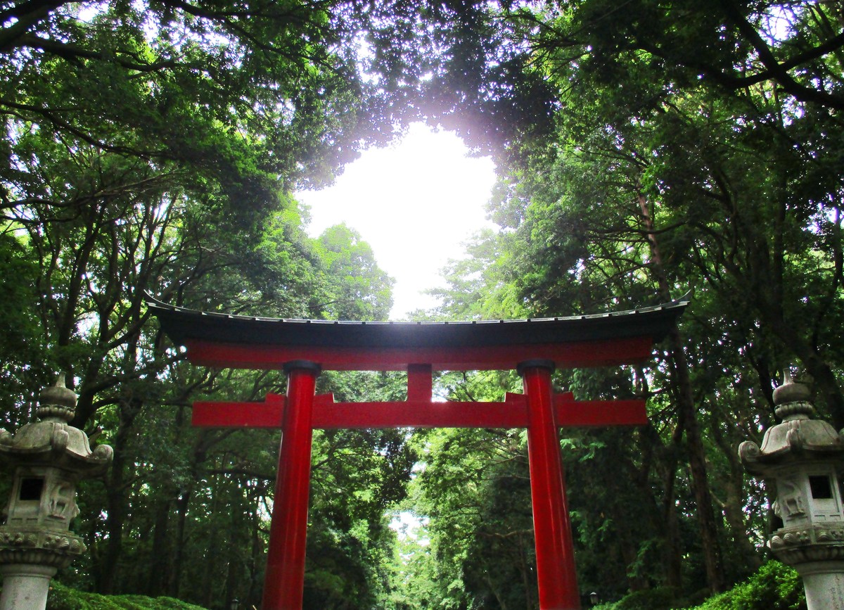 神社でデトックス！　心と体をきれいにする「夏越の大祓」とは