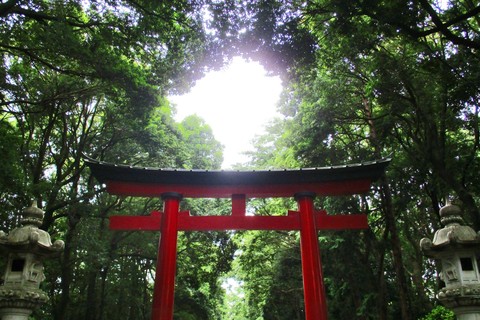 神社でデトックス！　心と体をきれいにする「夏越の大祓」とは