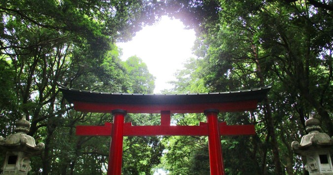 神社でデトックス！　心と体をきれいにする「夏越の大祓」とは