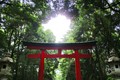 神社でデトックス！　心と体をきれいにする「夏越の大祓」とは