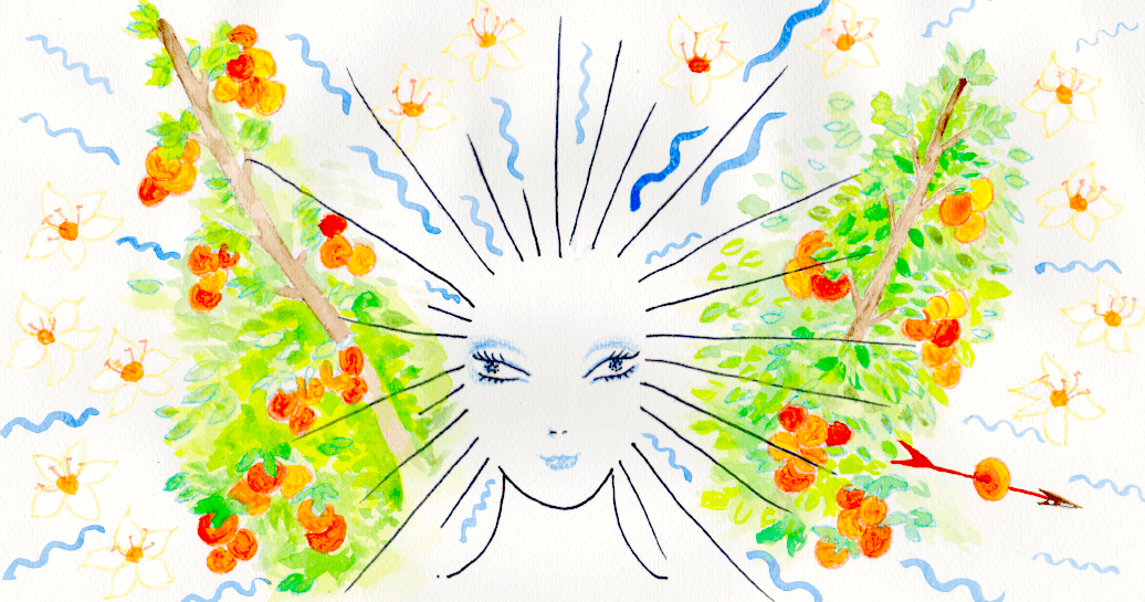 【星座占い】いて(射手)座の性格や特徴「孤高の哲学者」