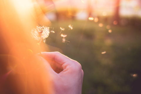同じ人間から受けた恋のトラウマは、逃げ場をなくすことで乗り越えられる
