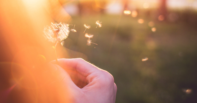 同じ人間から受けた恋のトラウマは、逃げ場をなくすことで乗り越えられる
