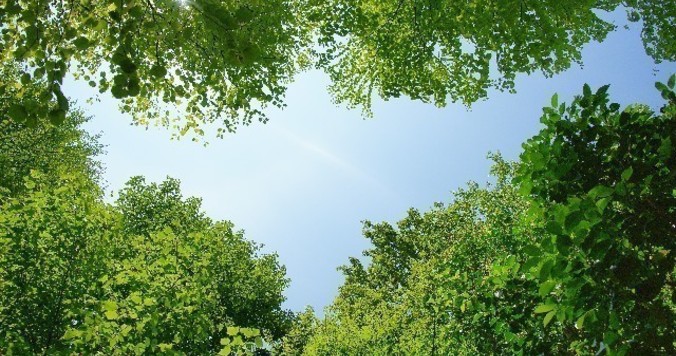 【終了しました】占いエディター青木良文氏がスペシャルナビゲート！『アンチストレス開運旅』に参加しませんか？