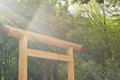 初詣だけじゃない！　人生の中で私たちが神社に行くべき理由とは？