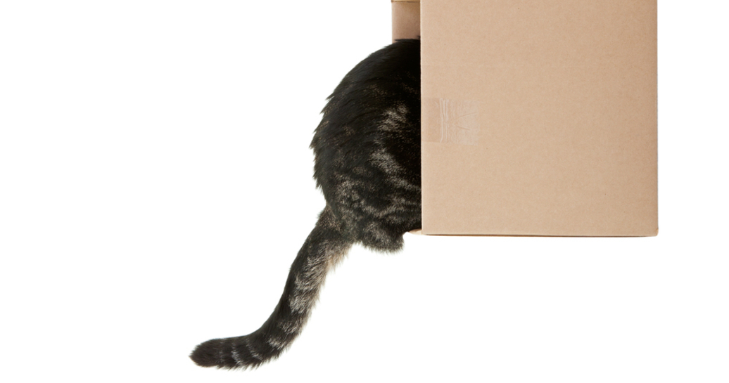 猫用こたつ「じゃないほう」に入り込む猫が可愛すぎて話題に