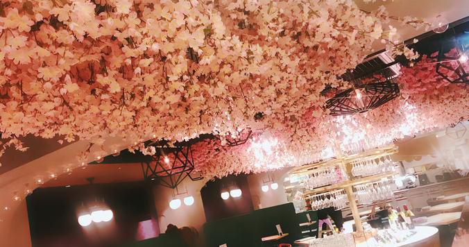 “インドア花見”がトレンド。店内で満開の桜を楽しめるワインバル