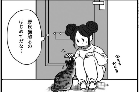 「ドアを開けたら猫がいた」 ただいまみいちゃん＃１