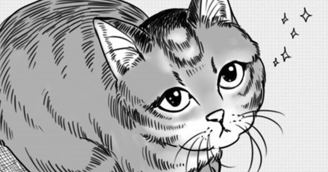 「猫のいる、朝の日課」ただいまみいちゃん＃２ 