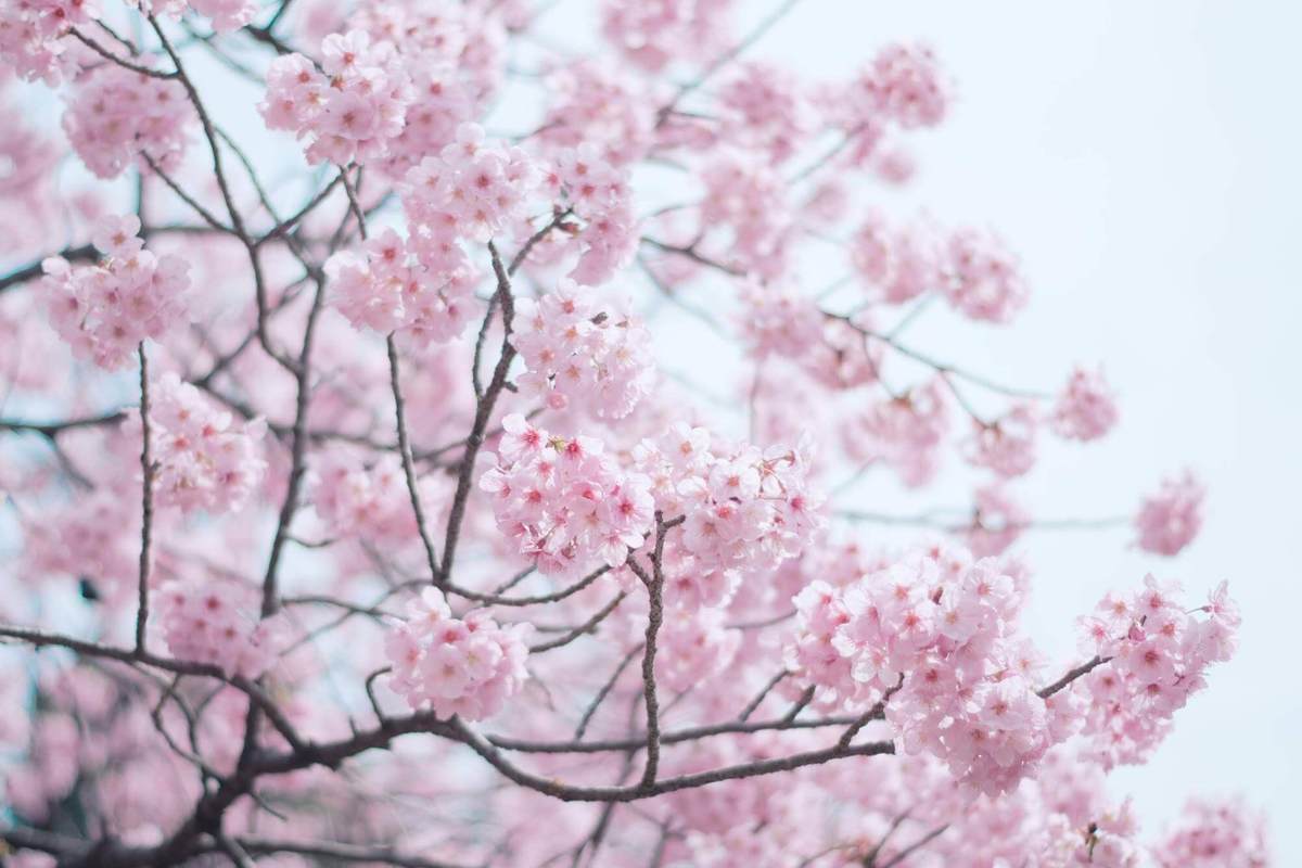 9年前から心に住む、不動産屋のあのひと