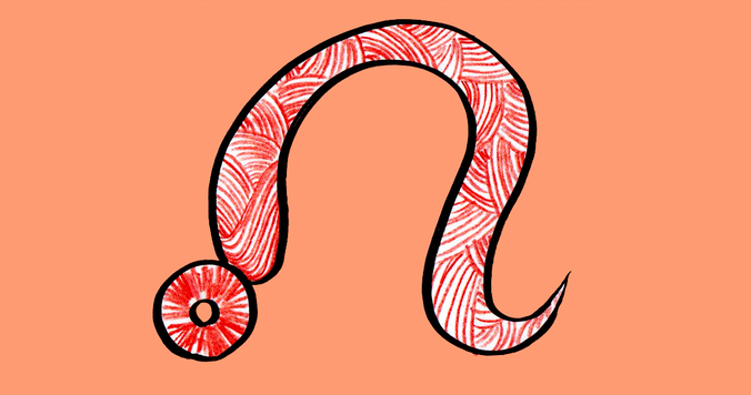 【星座占い】しし座と相性の良い星座は？