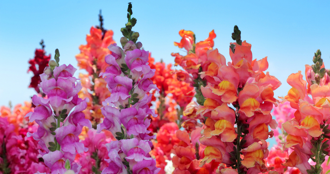 【心理テスト】あなたのおせっかい度診断