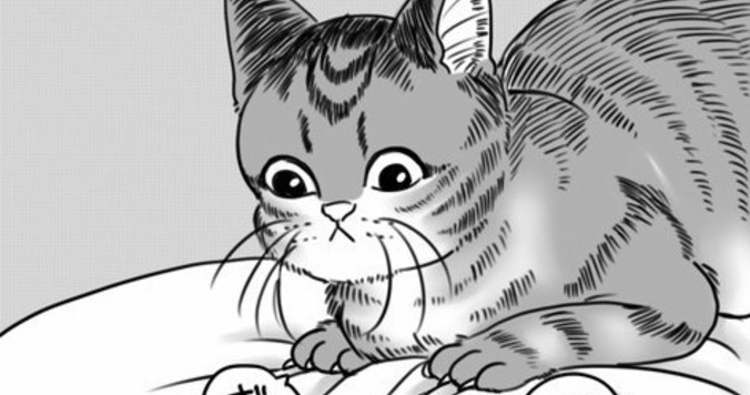 「真夜中のベリーサーフィン」ただいまみいちゃん＃３