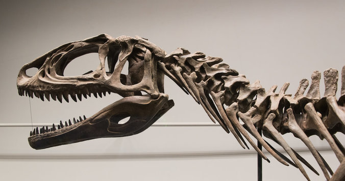 幸福度ナンバーワン！　福井県あるある９選