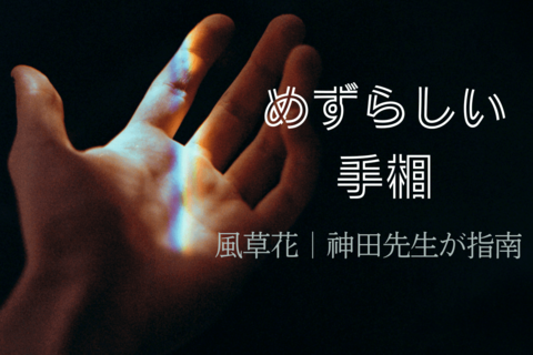 【占い師・神田先生】ラッキーな手相は薬指・中指の下に線がある!? 手相のめずらしいサイン18選