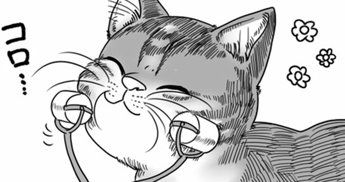 猫と女子会