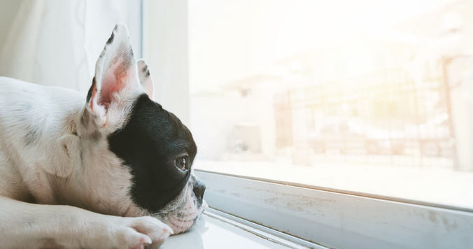 【心理テスト】あなたが人恋しさを感じるとき