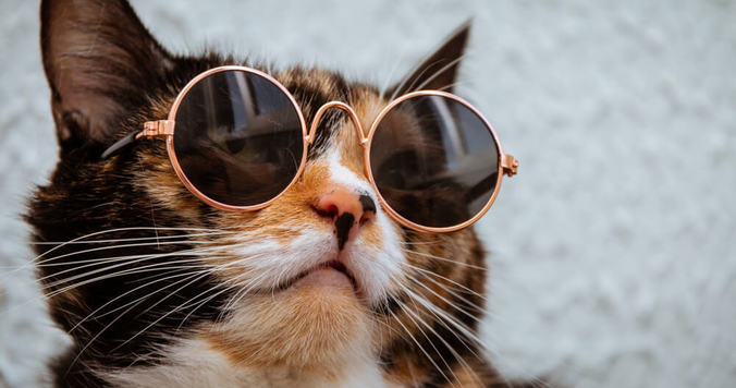 【心理テスト】あなたのプライドの高さ