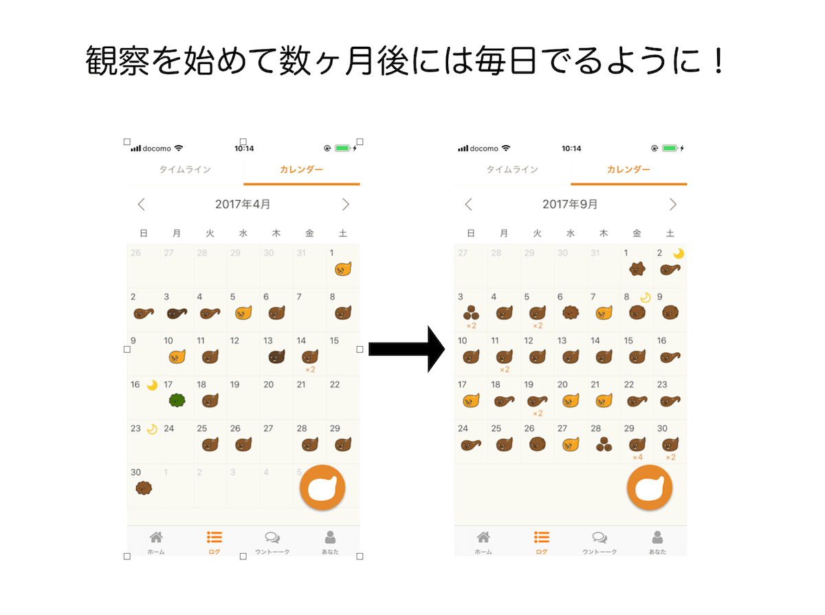 便秘を解消するために実践したこと バナナうんちでダイエットを卒業した話 Dress ドレス