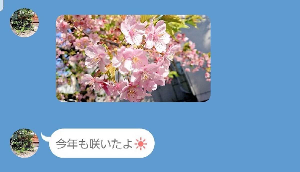 LINE　家族から送られた家の写真