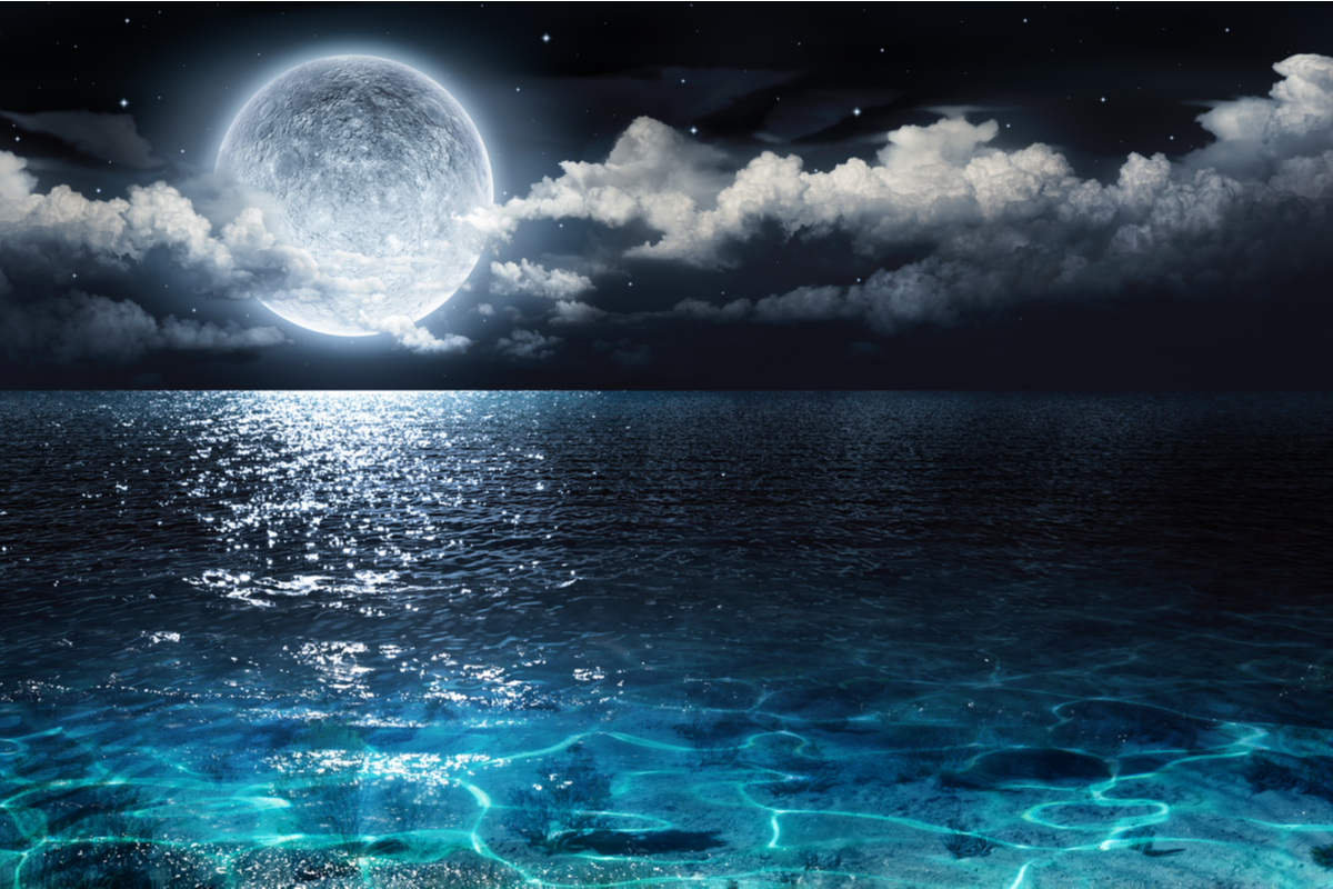 ６．夜の海の夢