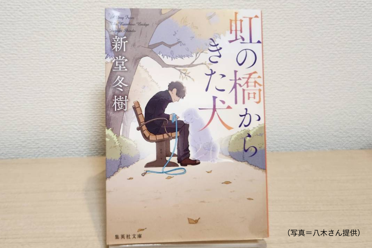 新堂冬樹 虹の橋からきた犬の表紙