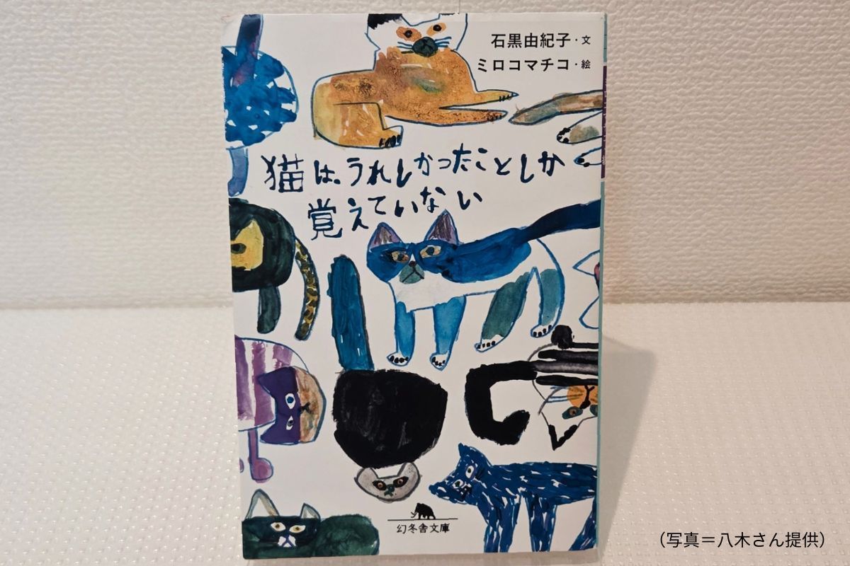 猫は嬉しかったことしか覚えていない