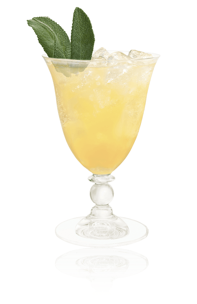 コアントロー・フィズグレープフルーツ&セージ（Cointreau Fizz Grapefruit Sage）