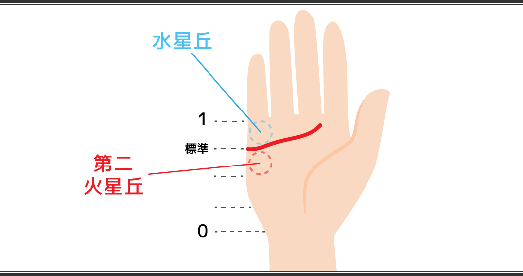 感情線の見方　丘と起点