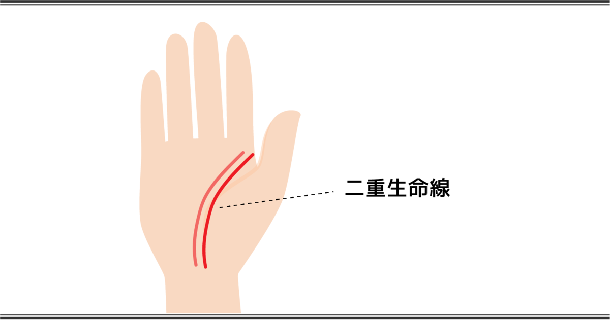 生命線の見方 二重生命線のある手相