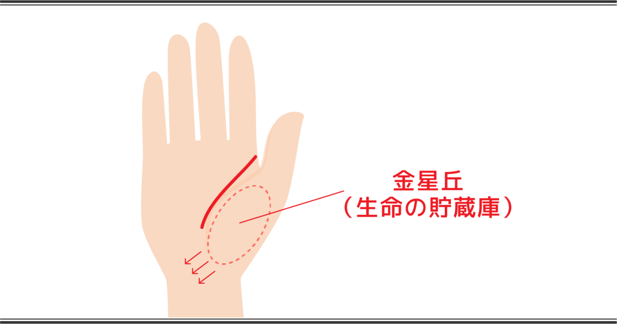 生命線の見方 生命線が短い手相