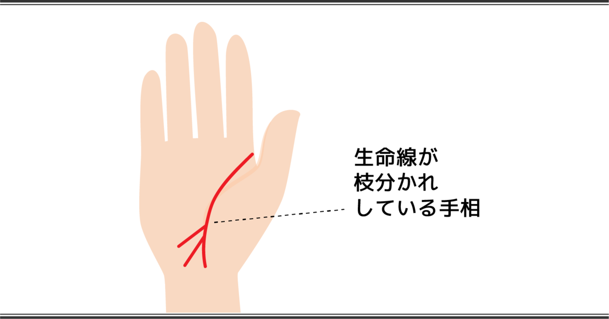 生命線の見方　枝分かれ