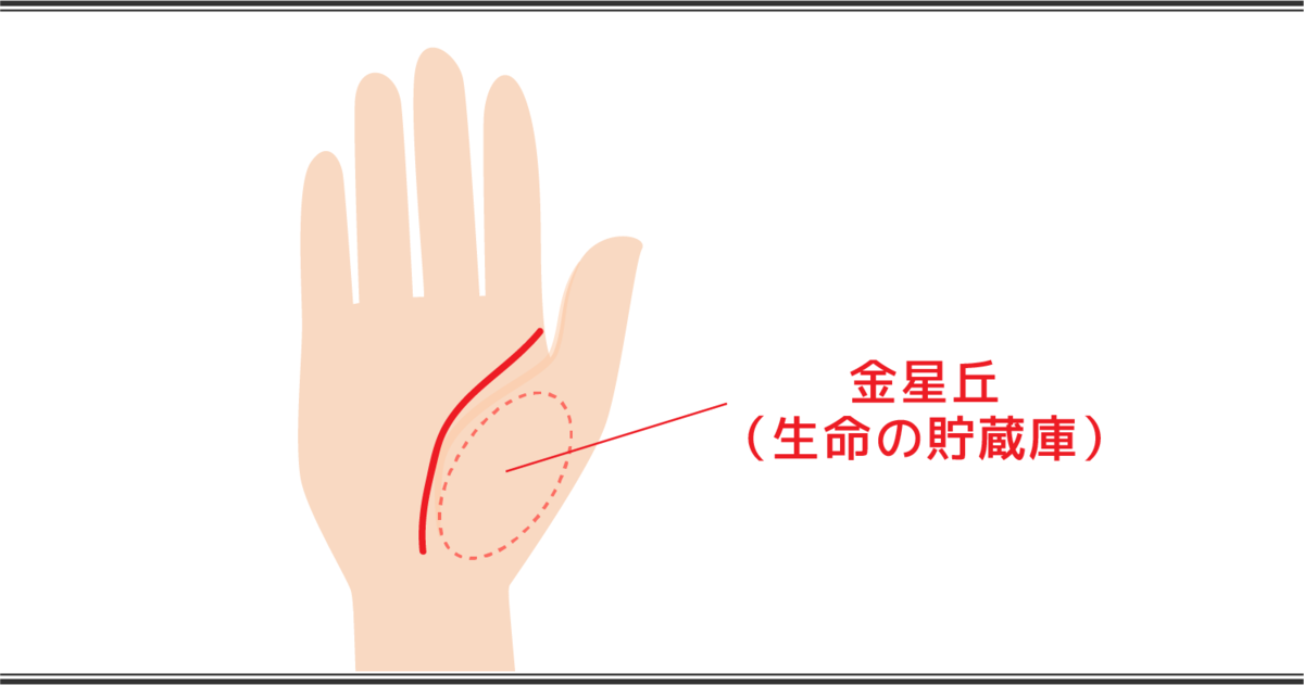 生命線の見方  貯蔵庫