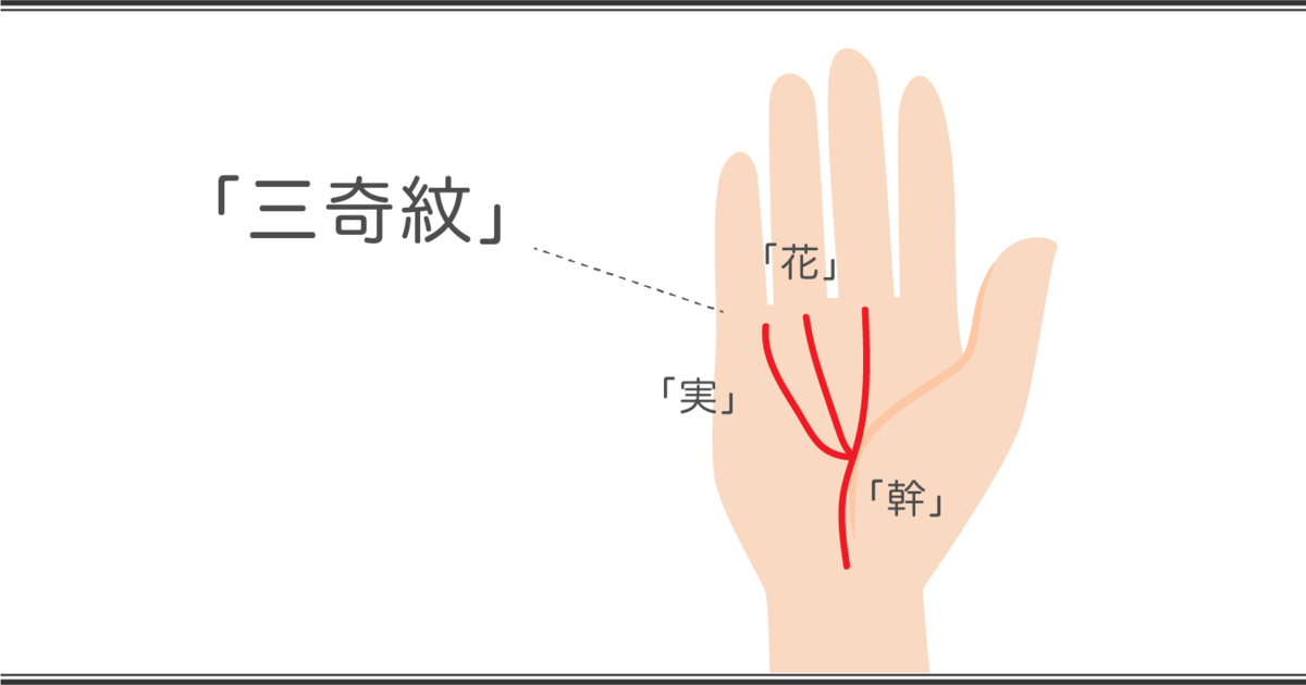 太陽線の見方 三奇紋